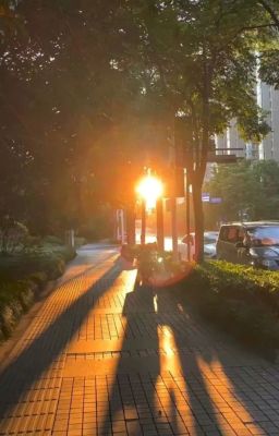 (Rhycap) Hoàng hôn