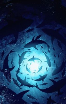 【RhyCap/Oneshort】٭Những mẫu truyện ngắn٭ (drop tạm thời)