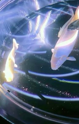 riolinh ;; anh ốm rùi