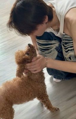 riolinh ;; em đừng khóc