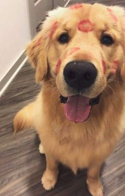 ( Ruhends) Ta sẽ hạnh phúc