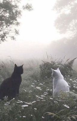 [RUJINU] White Noise