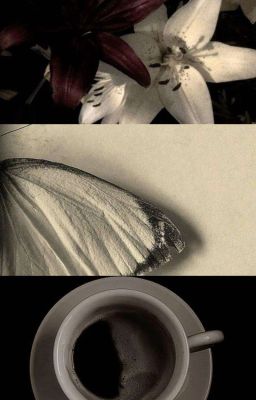 RuRas | Ngàn Năm Ánh Sáng