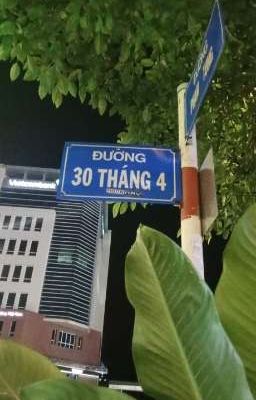 | Rynlee x Negav | kosao