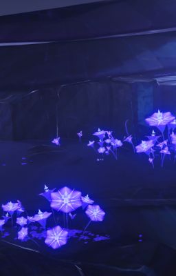 ryucho - chó dữ và mèo cam