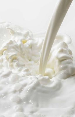 RyuLee|| No Nut November