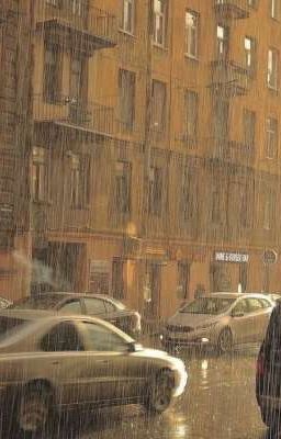 [sakuatsu] comfort zone