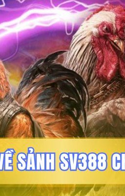 Sảnh SV388 BJ888 - Đấu Trường Kê Chiến Hàng Đầu Cực Hấp Dẫn