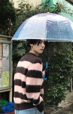 sanhakhwe ⊹ bắt lấy! xe buýt