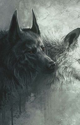 Sanity of the Wolves