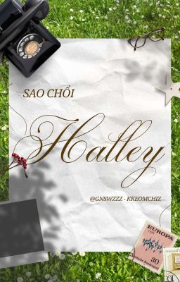 Sao Chổi Halley | 14:41