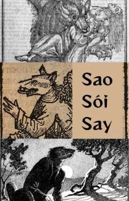 Sao Sói Say