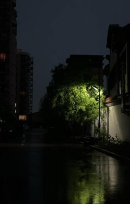 Sau Hoàng Hôn