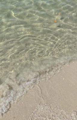 |Seokcheol| [18+] Bé thỏ tinh ranh và chú mèo chưa trải