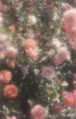 |seongjin|; thiên sứ