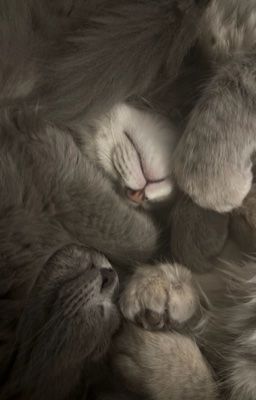 seongsi ❘ bestfriend.