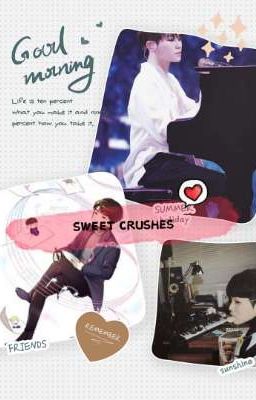 SEVENTEEN * Fictional Girl* {Love Diary} : SWEET CRUSHES