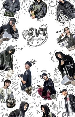 [Seventeen x y/n|Text] Công ty trồng bưởi hả?