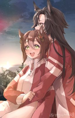 Shakafai - Hồ cá Koi