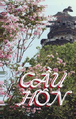 ⟪ShikaNaru⟫ Lời cầu hôn