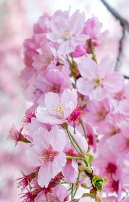 [Shortfic - Yuehuaz] Love Is Love