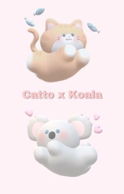 [SHOTS SERIES] [IVE] Catto x Koala[LizRei]