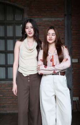 Siêu Trộm Và Anh Hùng, ViewMim