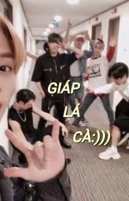 [ SKZ ] || Giáp lá cà:)))