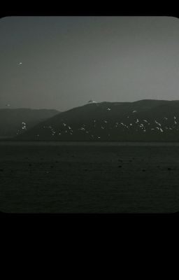 smoggycho | gửi cho tuổi trẻ của chúng ta đầy giông tố