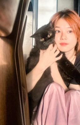 [socialmedia!au | tiểu vũ sơ chí] chà mập mờ cũ nay học chung hả ta?