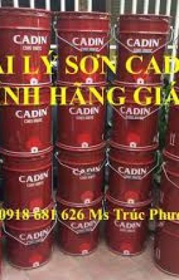SƠN CHỐNG RỈ CADIN GIÁ 700.000D THUNG 18l GIÁ RẺ TẠI TPHCM