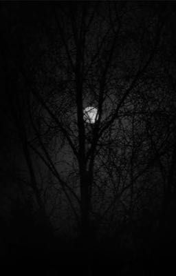 (Sơn.K x Negav)  Đôi cánh của thiên sứ gãy mất rồi....