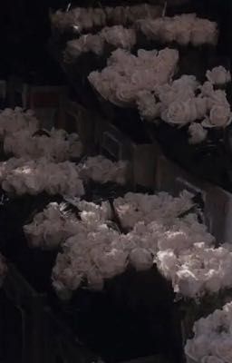 SonBinh 𐙚Friendzone