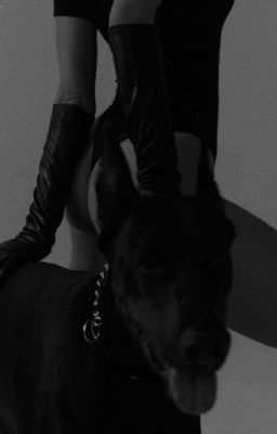 song tu.maket.thương