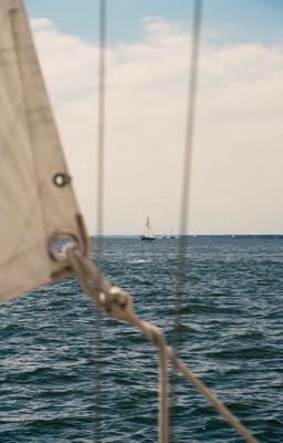 Sóng vỗ lên tình ta ngát xanh