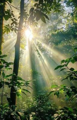 [ SongMỹ ] : Bí Mật Nhỏ