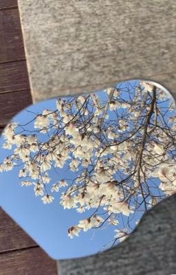 ' SơnK x Negav ' người yêu cũ đấm người yêu mới