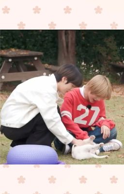 Soogyu | Chuyện lông cún vỏ tỏi nhà Soobin