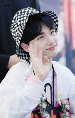 (Stray Kids) Những Câu Chuyện Nhỏ Của Binh Đoàn Trẻ Lạc