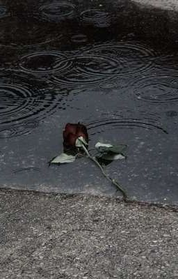 [STRAY KIDS] Photobook