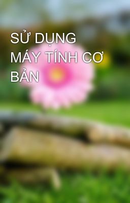 SỬ DỤNG MÁY TÍNH CƠ BẢN