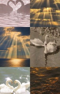 sunset, ocean waves and alone