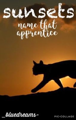 //sunsets//name that apprentice