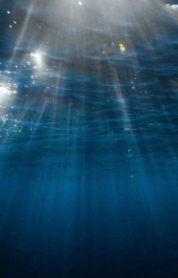 sunsun • hôn nhầm trùm trường