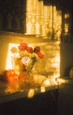 sunsun | khi ánh mặt trời đã tắt lịm
