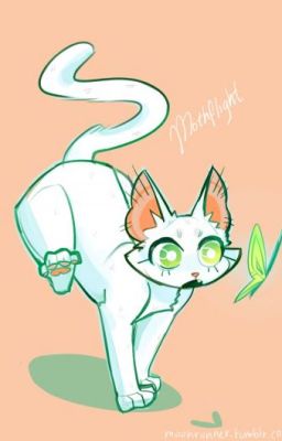 Swiftdawn's Adoptables