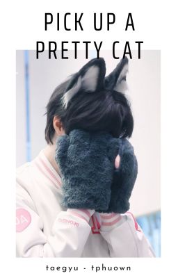 taegyu | pick up a pretty cat