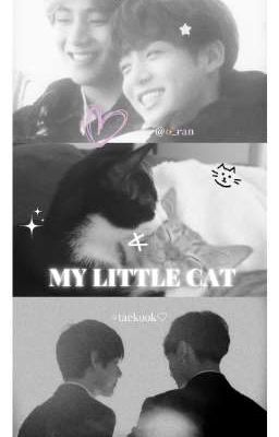 「taekook」MY LITTLE CAT ≽^• ˕ • ྀི≼