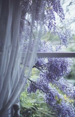 Taekook | Tử Đinh Hương Tím