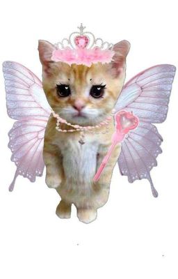 taekookᵕ̈ nhóc ngốc lấy chồng𓍯